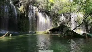 🌲🌊 Nature's Oasis: Refreshing Waterfall in a Lush Forest 🍃