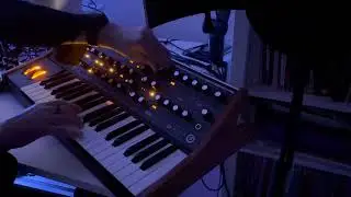 Improvisation on Moog Subsequent 37 and Strymon BigSky