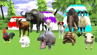 Long Slide Game With Elephant Gorilla Buffalo Hippopotamus Tiger 3d Animal Game Funny 3d Animals