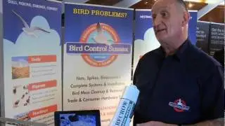 Bird Control Sussex Pigeon Seagull Bird problems