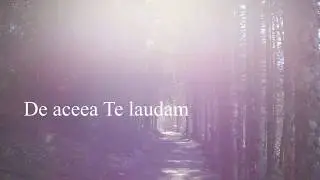 Diana si Raul Pop - Suntem doar o rasuflare