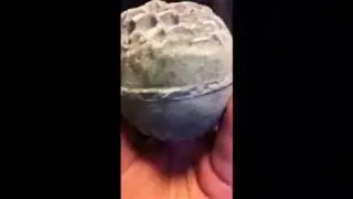 LUSH METAMORPHOSIS AND YELLOW SUBMARINE BATH BOMBS.