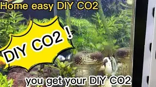 DIY CO2 for your aquarium, easy DIY by using sugar and yeast only. HD