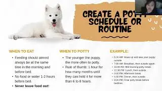 Puppy Potty Training Tips & Free Guide and Training Log
