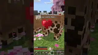 Our boba cows found its moo #minecraft #starfishstudios #gaming #cow #coquette