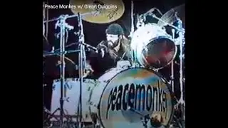 Peace Monkey 