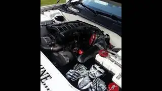 Stunt fest 2014 GVILLE