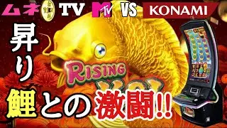 【ラスベガスカジノ】スロット『昇り鯉』こんなにもアガるマシンはない‼ アゲアゲボーナス・オブ・ザ・イヤー確定!!　ムネTV㊲