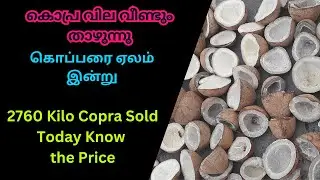ஒரு கிலோ கொப்பரை விலை | One Kg Copra Rate | Gobichettipalayam Coconut Farmers | #coprabusiness