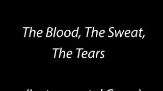 Machine Head - The Blood, The Sweat, The Tears (Instrumental Cover)