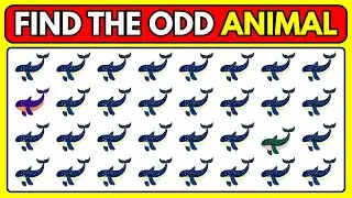Find the ODD One Out &ndash; Animal Edition 🐯🐵 | Easy, Medium, Hard &ndash; Level 63 | Mindful Mosaic 2.0