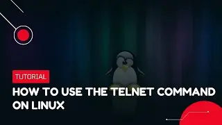How to use the Telnet command in Linux | VPS Tutorial