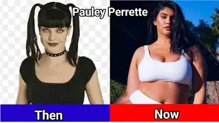 NCIS (2003-2026) Cast Then and Now (2026)