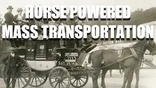 Economic History: Horse Powered Mass Transportation