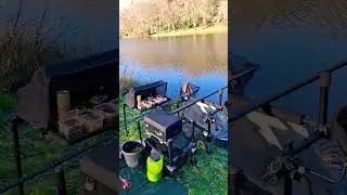 p&ecirc;che au coup en hiver🎣 : 28 decembre 2025 la derni&egrave;re de l'ann&eacute;e ! 🐟🐠