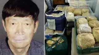 Man at center of surrogacy scandal now tied to properties linked to alleged gambling and drugs