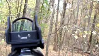 Burris Fast Fire II