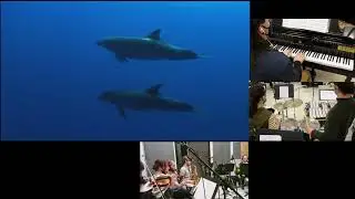 The Ocean - Grayson Fisher