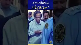 Pervaiz Elahi's 