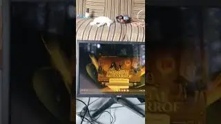 Unboxing Kabel Hdmi untuk Samsung Dex