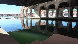 Song of the Cricket - Venice Biennale. Slow relax 60 minutes