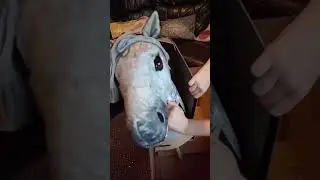 Unboxing my new Lemieux hobby horse Sam!  #shorts #horse #lemieux #hobbyhorse #hobby #horselover