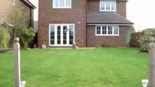 T-Rex 450 X Flight test. Bumpy landing.