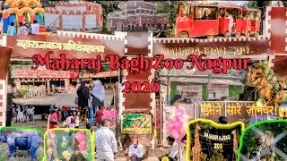 Maharaj Bagh Zoo 🐯 | Nagpur | 2026 | Tiger, Leopard & More! | Entry Fee, Timings, Full Detailed Tour