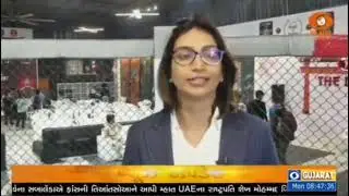 Dojo mma fight in Gujarat