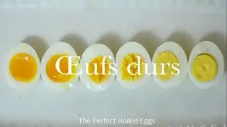 【保存版】プロが教える絶対に失敗しないゆで卵の作り方　How to make perfect boiled egg ASMR