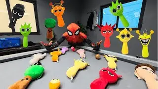 Surrounded! Spider Man Hunts Down Hidden Spuniki