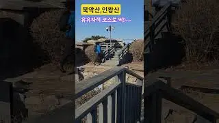 #26.1.11#코스:광화문~삼청공원~숙정문~청운대~백악산(북악산)~윤동주문학관~인왕산(25,000보)힐링코스최고!
