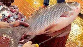 Amazing Giant Rohu Fish Cutting Skills | Big Rohu Fish Cutting By Expert Cutter
