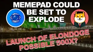 MemePad Set To Explode With Launch of ElonDoge Which Could 500X