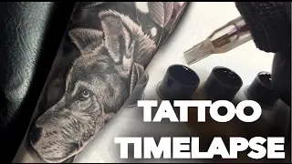 TATTOO TIME LAPSE | REALISTIC WOLF | CHRISSY LEE TV