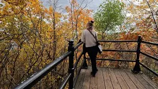 Where the Leaves Turn Gold — Mount Royal Olmsted Trail – visually rich and lyrical
