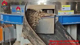 250 kw motor XGJ850P vertical ring die wood pellet machine in operation in Indonesia biomass pellets