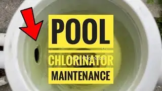 Pool Chlorinator Maintenance