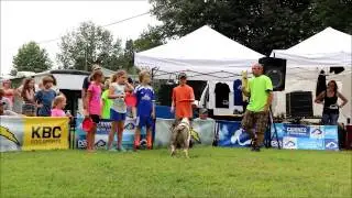 SDP Canines in the Clouds Ground Act 2015