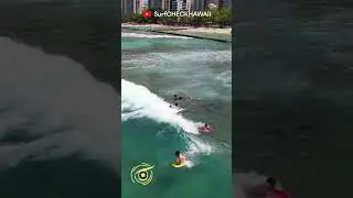 SurfCHECK HAWAII Waikīkī Walls