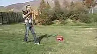 AMAZING TEMECULA DOG TRAINER VIDEO!