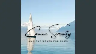 Ocean's Embrace of Canine Tranquility