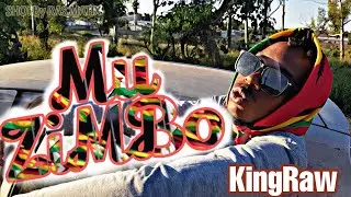 KingRaw - Mu ZiMBo(official_visualizer)