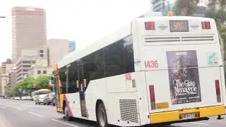Buses on Currie St
