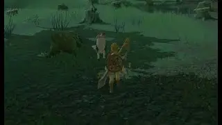 A Dog That Eats Apples Is a Healthy Dog | The legend of Zelda: Breath of the Wild - Nintendo Switch2