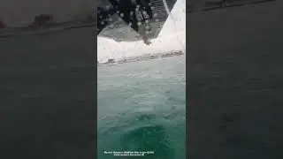 TRANS MALDIVIAN AIRWAYS DHC-6 | TRIPREPORT | SHMR-MALE | 35 MINUTE FLIGHT