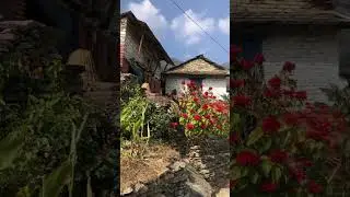 Деревня в горах Непала. Полное видео о походе уже на канале #непал #путешествие #покхара #панчасе