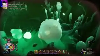 Finding the next BURG.L's chip (Haze Chip) in Grounded | Live Gameplay #10 | TheInfomediaGuy