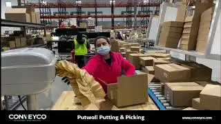 Putwall Order Fulfillment Putting & Picking - Conveyco