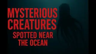 Mysterious Creatures Spotted Near the Ocean | Real Sightings & Unexplained Deep Sea Encounters